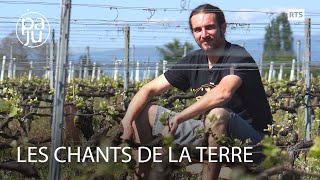 Vigneron encaveur agriculteur maraîcher entrepreneur et musicien les 1000 vies de Raphaël [upl. by Yhtac]