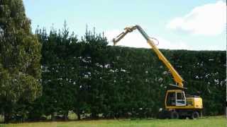 Tree  Shelter belt Trimming Hororata Canterbury New Zealand [upl. by Terena381]