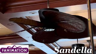 52quot Fanimation Sandella Ceiling Fans 1 2 3 4 5 6 7 8 9 10  16 [upl. by Miarfe47]