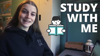 Studeer met mij Samen studeren voor de examens [upl. by Remmos826]