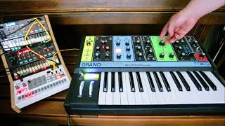 PolynomialC cover Aphex Twin with the Moog Grandmother Korg Volca SampleVolca FMVolca FM2 [upl. by Hammock645]