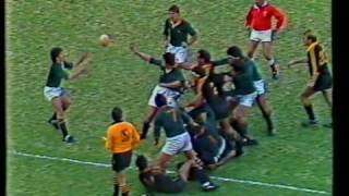 Four 1986 Springbok Tries [upl. by Derdle]