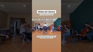 Ensamble de Cuerdas del Conservatorio del Estado de México musica orquesta orchestra strings [upl. by Antrim348]