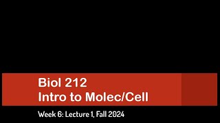 CSULB Biol 212 Fall 2024  Week 6 Lecture 1 [upl. by Dressler]