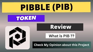 What is PIBBLE PIB Coin  Review About PIB Token [upl. by Nitsir]