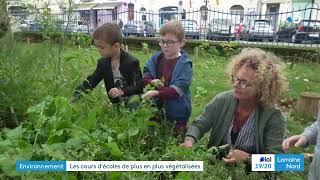 Avec les jardins dans les cours d’écoles les enfants se reconnectent à la nature [upl. by Weksler]