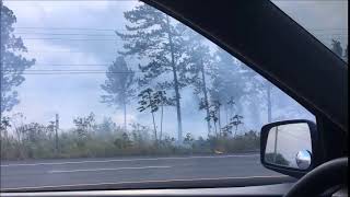 Driving through the fire in Boquete Panama [upl. by Nalon651]