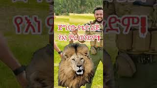 ምርጥ አማርኛ ሙዚቃ  Best Amharic Music [upl. by Litta553]