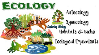 principles of ecology hierarchy habitatsampniche ecology Equivalents Autecology and Synecology [upl. by Liederman]