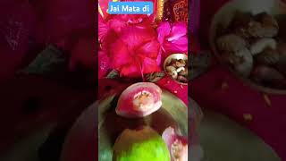 Durga hai meri man Ambe hai meri man bolo Jay Mata kibhaktisonglike andsubscribe 🙏🌺🌺🙏🙏🙏🙏🌺🌺 [upl. by Lenor]