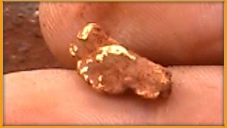 Metal Detecting for Gold Nuggets in WA 2014 pt 7 [upl. by Vasquez892]