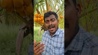 aliyar to valpari trip ajunaru villu vijay tamil songs vibe🫠🤪 [upl. by Best191]