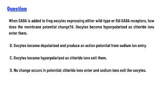 quotWhen GABA is added to frog oocytes expressing either wildtype or Rdl GABA receptors [upl. by Anatniuq707]