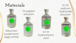 ACTIVITY 52 STUDYING THE EFFECT OF PH ON THE PEPSIN ENZYME ACTIVITY [upl. by Armington982]