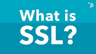 What Is SSL Explained [upl. by Gerhardine807]