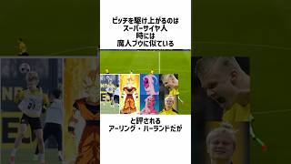 この動画を見届けてほしい [upl. by Eanaj]