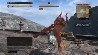 【DDON】 ファイターをやりたくなる動画 vsベルトモゴック [upl. by William715]