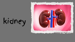 173 Acute oliguria due to renal outflow obstruction post renal [upl. by Ettevahs]