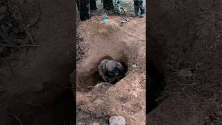 For 105 years no one could find them They dug a huge hole and pulled out this box [upl. by Consolata]