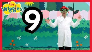 Dr Knickerbocker Number 9 🔢 Counting Nursery Rhyme for Toddlers 🎶 The Wiggles [upl. by Sofia255]