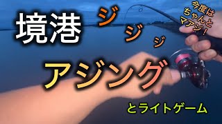 【アジング】 朝マズメ！マアジが久しぶりに釣れた！その後、ライトゲームを楽しんだ [upl. by Nollaf605]