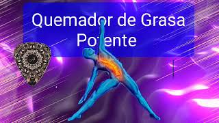 ☄️2958 Hz  Frecuencia de quema de grasa extremadamente potente  Quema de células grasas [upl. by Utas]