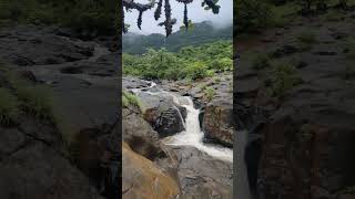 📍Tamhini ghat waterfall  pune tamhinighat lonavala pune rain nature weather [upl. by Llerred817]