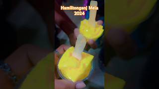 Hamiltonganj Mela 2024trending shorts shortsviral shortvideos short [upl. by Asiral462]