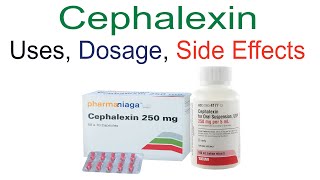 Cephalexin Cefalexin Uses Dose and Side Effects [upl. by Nyvek]