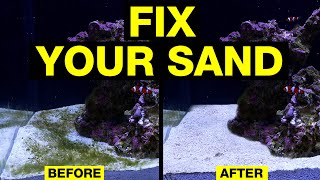 Top 10 Ways to Solve Dirty Saltwater Aquarium Sand [upl. by Ardaid]