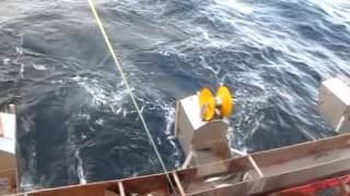 Jigging Mackerel in Norwegian Waters [upl. by Serle213]