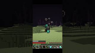 My first flight with my new Elytra minecraft gaming [upl. by Ettezyl808]