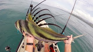 Kayak Fishing My First Roosterfish  FieldTrips Panama  Field Trips with Robert Field [upl. by Stutman]