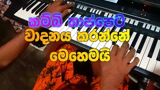 quotKambi Thappetaquot  Organ Instrumental Cover  Relaxing Music Performance [upl. by Von]