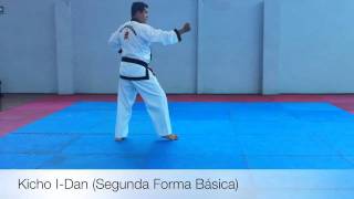 Kicho IDan Segunda forma básica Tae Kwon Do [upl. by Aneeb620]