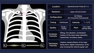 Cervical Venous Hum [upl. by Ahsym]