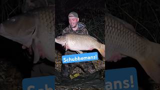 Dikke Schub KarperCentrale karpervissen carpfishing [upl. by Martella]