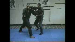 Ninjutsu Taijutsu  Empty hand Combat [upl. by Martha]