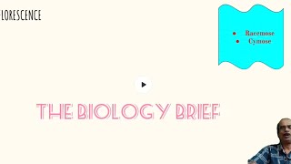 UNDERSTAND INFLORESCENCE IN JUST 10 MINUTES sureshb9256 biology morphologyoffloweringplants [upl. by Dickinson]