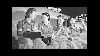 Beyond the Story American Women During World War II [upl. by Alcott118]