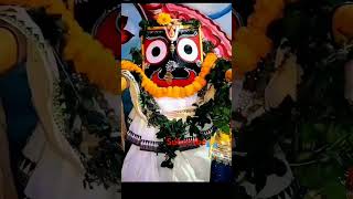 he bandhu bidaya status🙏jay jagannath bhajansubscribeodia song shortvideo [upl. by Soiritos673]