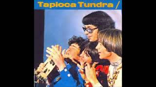 Tapioca Tundra 2024 stereo remix The Monkess [upl. by Atinele730]