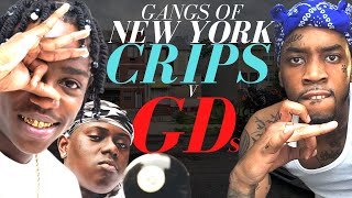 New Yorks Deadly Gang War  Crips v GDs [upl. by Caundra]