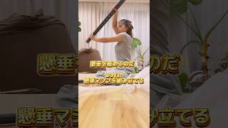 懸垂を極めるのだ‼︎DAY1 懸垂 懸垂チャレンジ 懸垂女子 田辺莉咲子 [upl. by Ecarg]