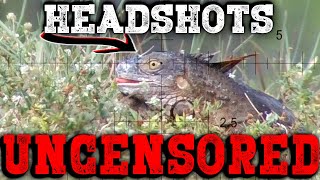 UNCENS0RED Headshots  Iguana Pest Control [upl. by Ettennal232]