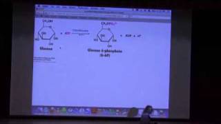 Glycolysis I [upl. by Isac]