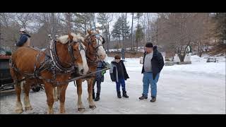 Nestlenook Farm Jackson NH [upl. by Kiel187]