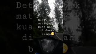 nekat bawa motor matic ke bromo lewat nongko jajar di ketawain boc1l😂shortsbromo [upl. by Enelad]