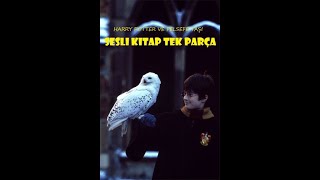 Harry Potter ve Felsefe Taşı  Tek Parça  En İyi Sesli Kitap [upl. by Ludie461]