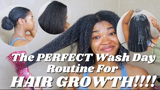 The PERFECT Wash Day Routine for HAIR GROWTH  SUPER DETAILED [upl. by Iy375]